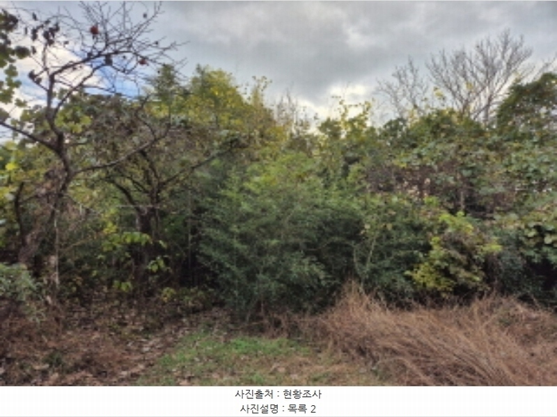 2024타경4973 경상남도 고성군 구만면 효락리 687-4 농지 경매 이미지