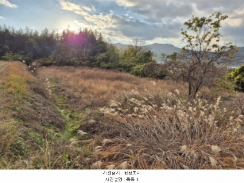 2024타경4973 경상남도 고성군 구만면 효락리 687-4 농지 경매 이미지
