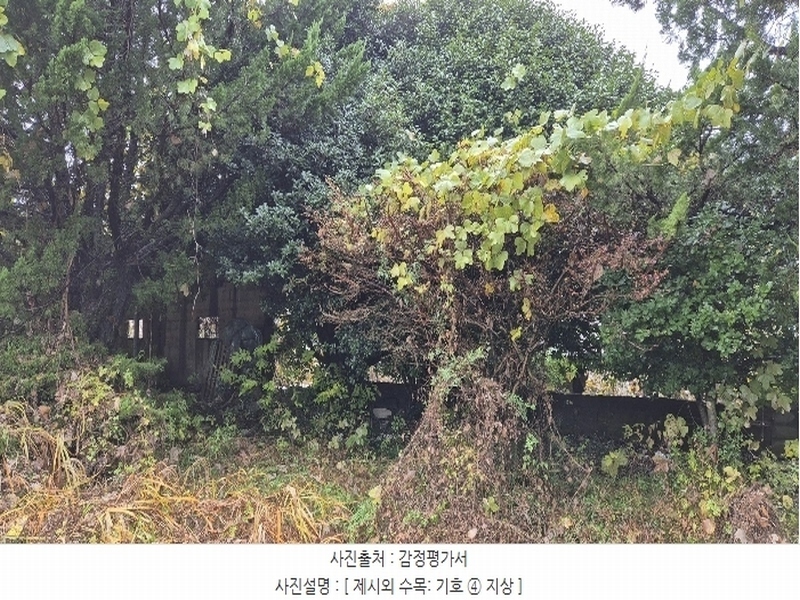 2024타경4973 경상남도 고성군 구만면 효락리 687-4 농지 경매 이미지