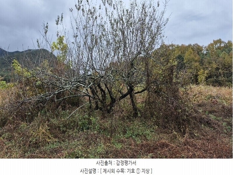 2024타경4973 경상남도 고성군 구만면 효락리 687-4 농지 경매 이미지