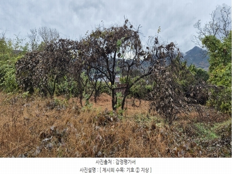 2024타경4973 경상남도 고성군 구만면 효락리 687-4 농지 경매 이미지