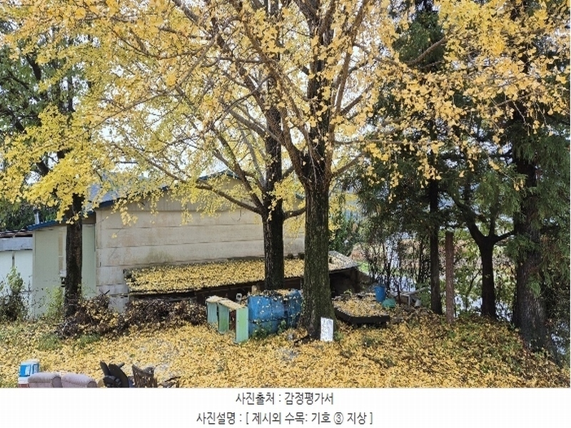 2024타경4973 경상남도 고성군 구만면 효락리 687-4 농지 경매 이미지