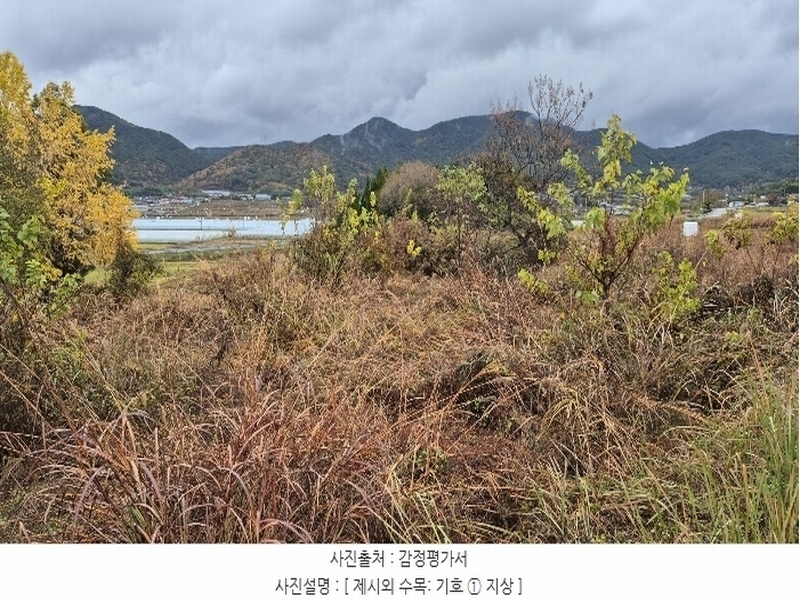 2024타경4973 경상남도 고성군 구만면 효락리 687-4 농지 경매 이미지