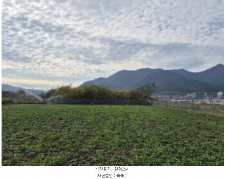 2024타경4980 경상남도 고성군 거류면 신용리 162 농지 경매 이미지