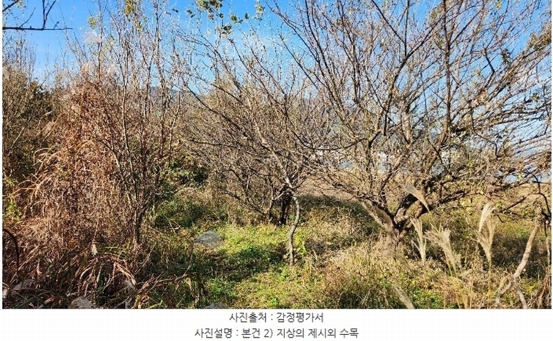 2024타경4980 경상남도 고성군 거류면 신용리 162 농지 경매 이미지