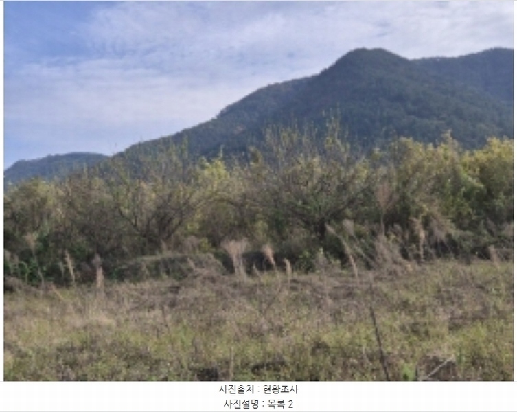 2024타경4980 경상남도 고성군 거류면 신용리 162 농지 경매 이미지