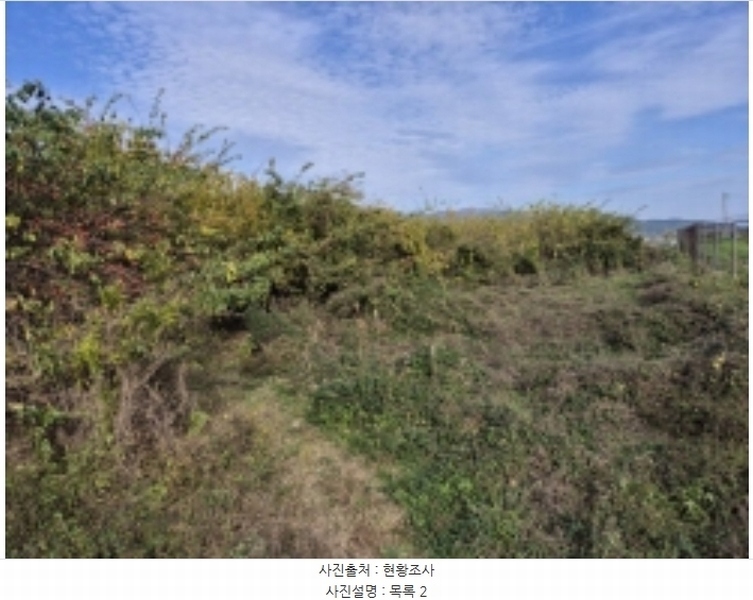 2024타경4980 경상남도 고성군 거류면 신용리 162 농지 경매 이미지
