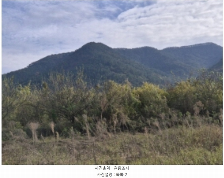 2024타경4980 경상남도 고성군 거류면 신용리 162 농지 경매 이미지