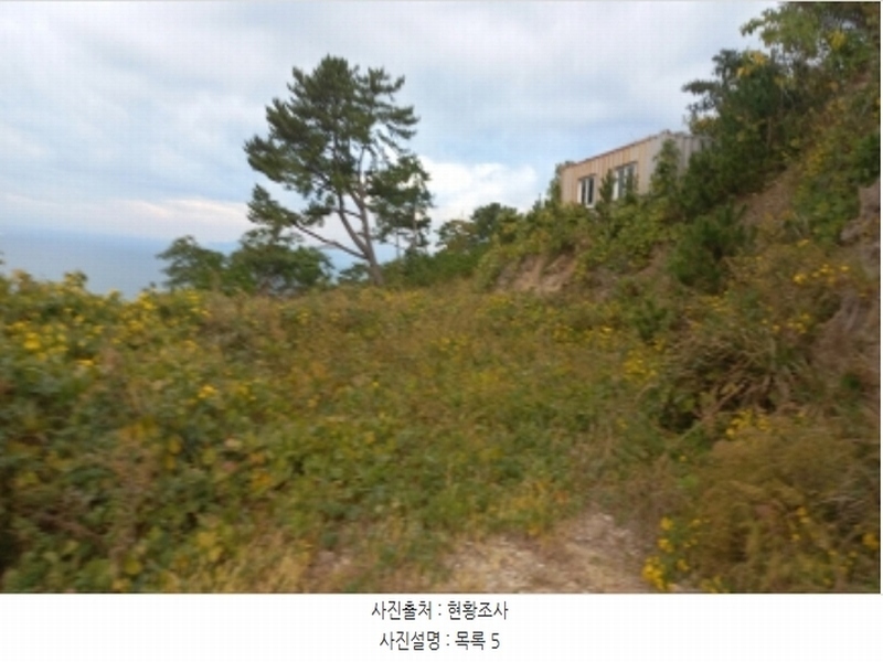 2024타경5136 경상남도 통영시 욕지면 서산리 443-3 농지 경매 이미지