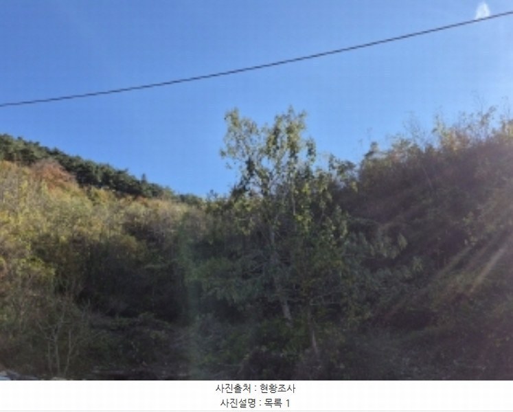 2024타경5228 경상남도 고성군 회화면 삼덕리 산75-7 임야 경매 이미지