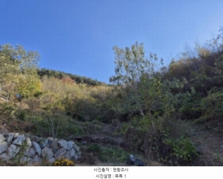 2024타경5228 경상남도 고성군 회화면 삼덕리 산75-7 임야 경매 이미지