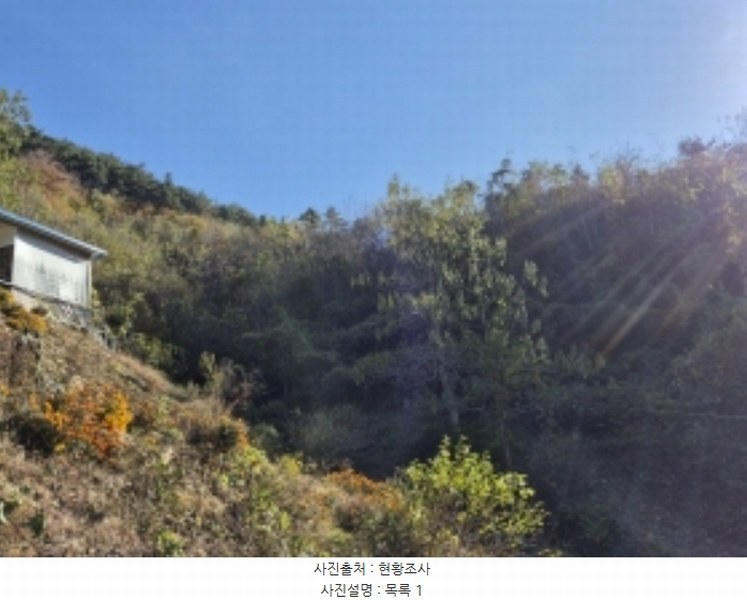2024타경5228 경상남도 고성군 회화면 삼덕리 산75-7 임야 경매 이미지