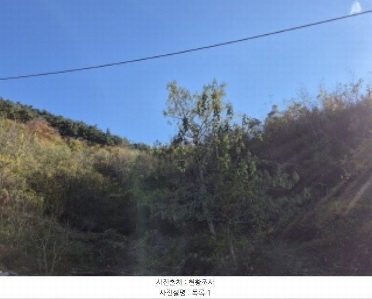 2024타경5228 경상남도 고성군 회화면 삼덕리 산75-7 임야 경매 이미지