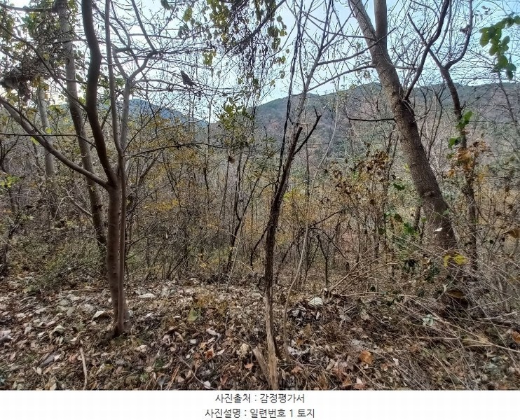 2024타경5228 경상남도 고성군 회화면 삼덕리 산75-7 임야 경매 이미지