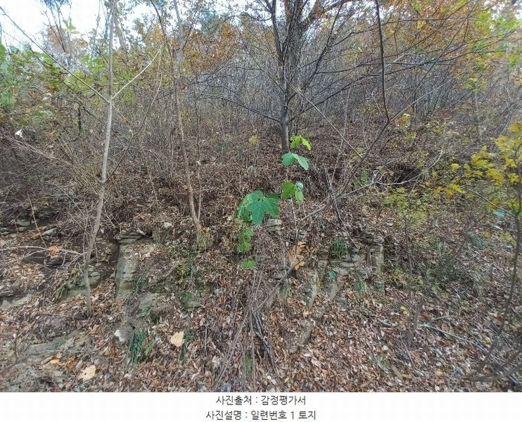 2024타경5228 경상남도 고성군 회화면 삼덕리 산75-7 임야 경매 이미지