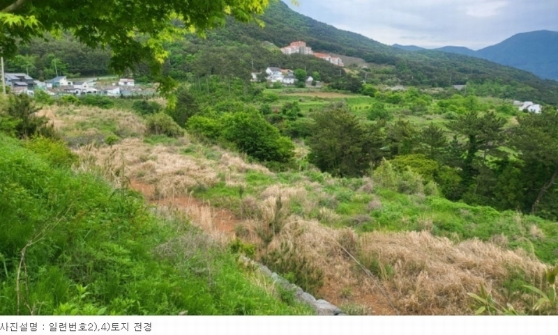 2024타경24038 경상남도 거제시 동부면 가배리 508-15 임야 경매 이미지