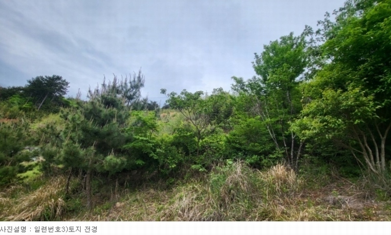 2024타경24038 경상남도 거제시 동부면 가배리 508-15 임야 경매 이미지