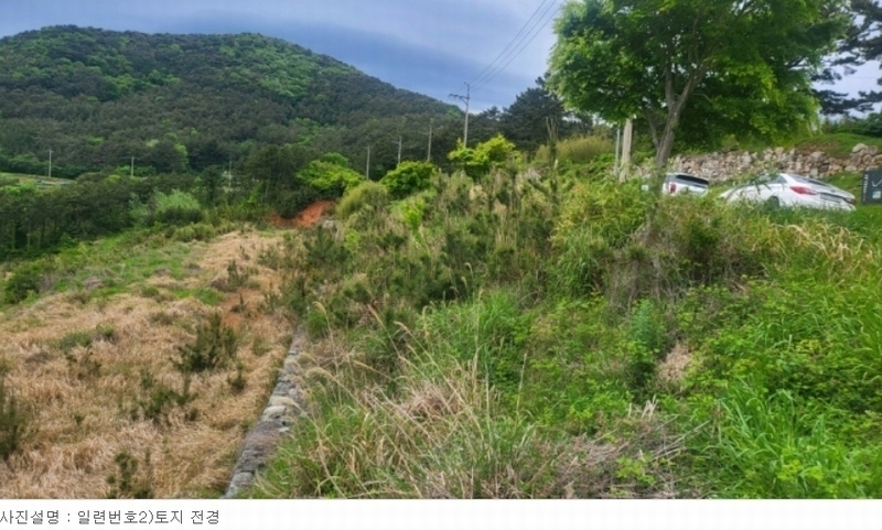 2024타경24038 경상남도 거제시 동부면 가배리 508-15 임야 경매 이미지