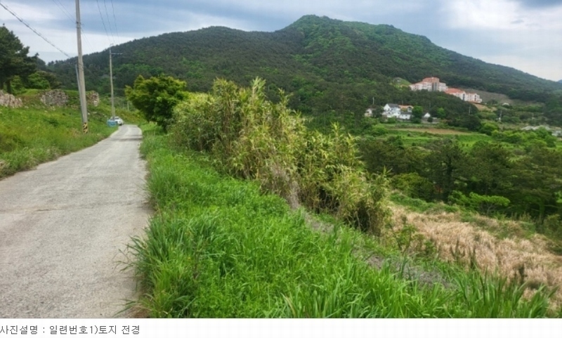 2024타경24038 경상남도 거제시 동부면 가배리 508-15 임야 경매 이미지