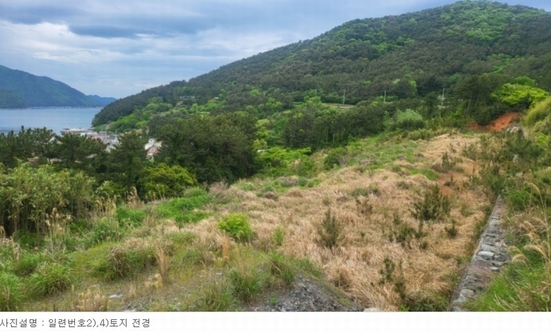 2024타경24038 경상남도 거제시 동부면 가배리 508-15 임야 경매 이미지