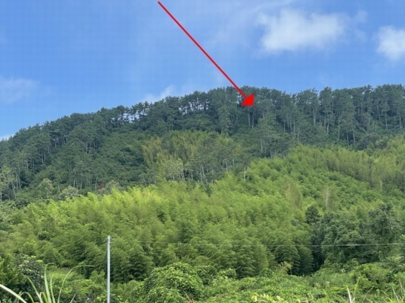 2024타경27488 경상남도 거제시 하청면 어온리 75 농지 경매 이미지