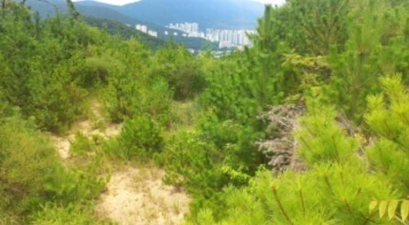 2024타경27655 경상남도 거제시 문동동 15-11 임야 경매 이미지