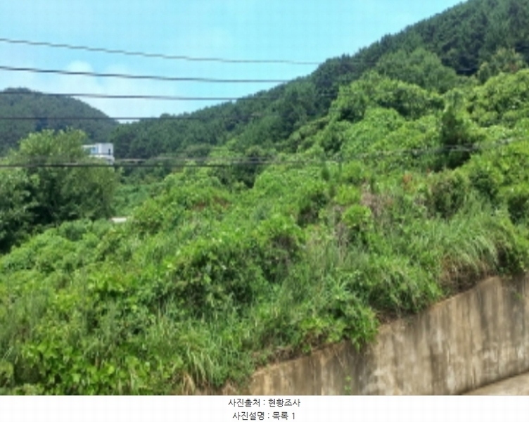 2024타경27914 경상남도 거제시 남부면 갈곶리 91 농지 경매 이미지