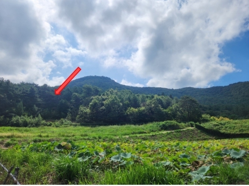 2024타경28658 경상남도 통영시 한산면 두억리 산251 임야 경매 이미지