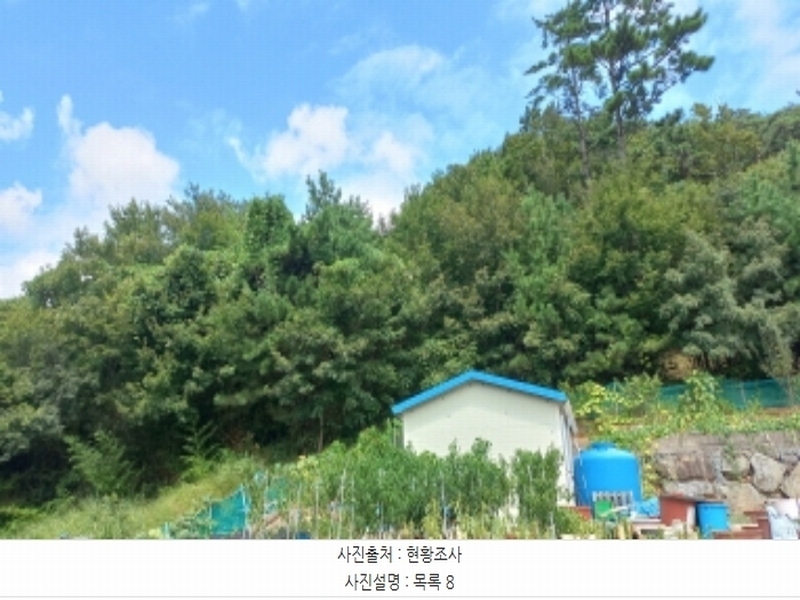 2024타경28726 경상남도 거제시 연초면 오비리 산115-2 임야 경매 이미지
