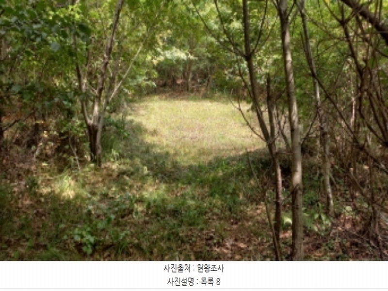 2024타경28726 경상남도 거제시 연초면 오비리 산115-2 임야 경매 이미지
