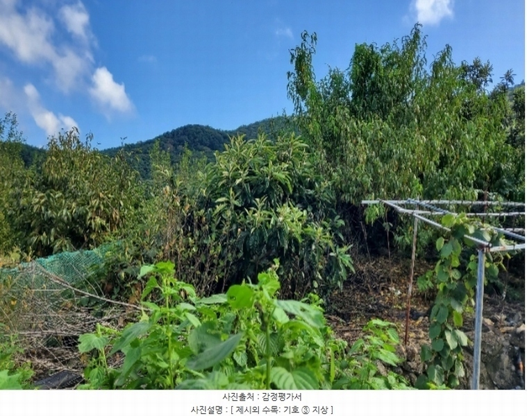 2024타경29293 경상남도 거제시 일운면 지세포리 1240 농지 경매 이미지