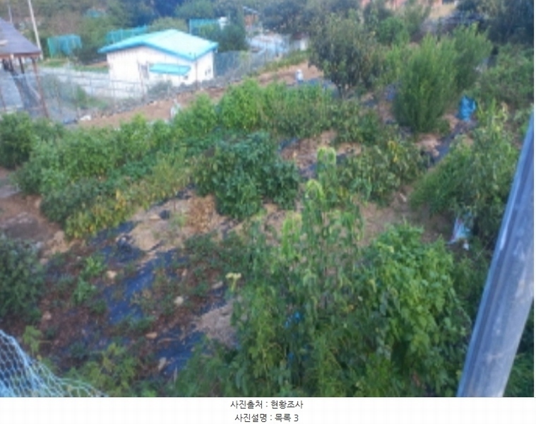 2024타경29293 경상남도 거제시 일운면 지세포리 1240 농지 경매 이미지