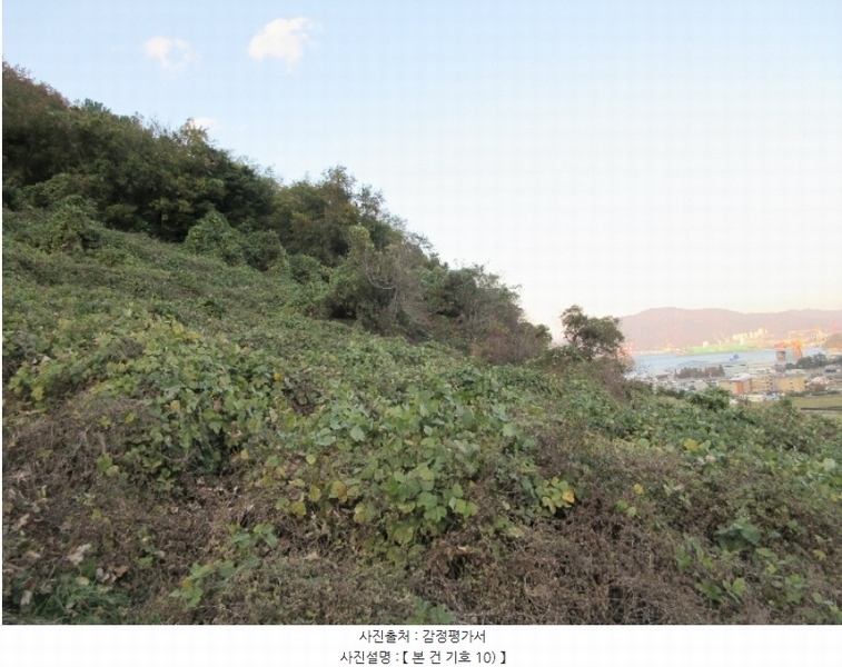 2024타경29866 경상남도 거제시 사등면 사등리 1556 농지 경매 이미지