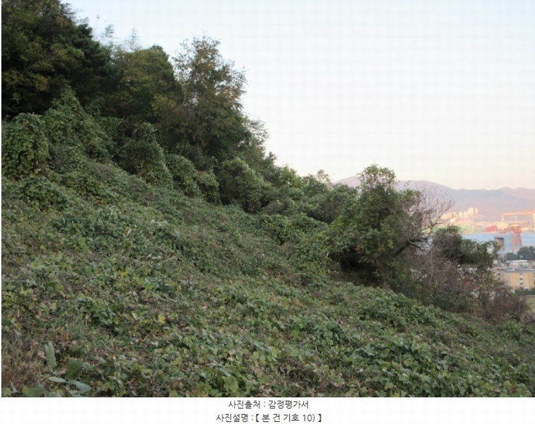 2024타경29866 경상남도 거제시 사등면 사등리 1556 농지 경매 이미지
