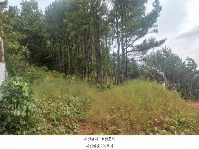 2024타경29941 경상남도 거제시 거제면 법동리 산157-6 임야 경매 이미지