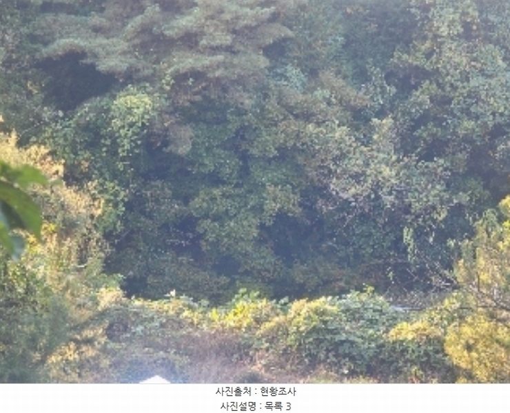 2024타경30033 경상남도 통영시 도산면 오륜리 515 농지 경매 이미지