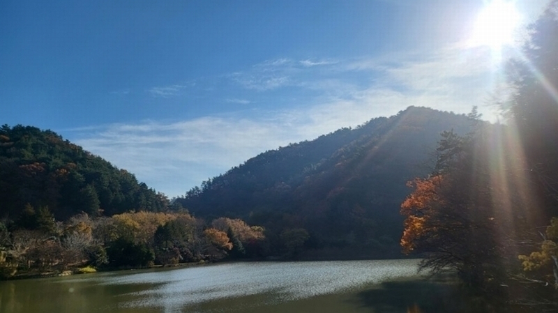 2024타경31722 경상남도 거제시 연초면 죽토리 산83-1 임야 경매 이미지