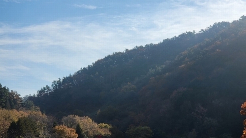 2024타경31722 경상남도 거제시 연초면 죽토리 산83-1 임야 경매 이미지