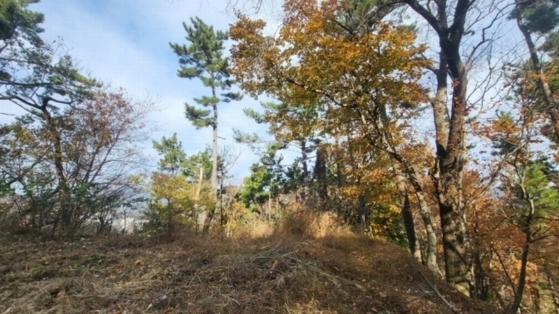2024타경31722 경상남도 거제시 연초면 죽토리 산83-1 임야 경매 이미지