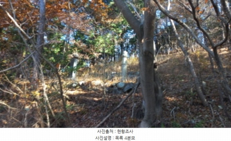 2024타경32145 경상남도 거제시 연초면 연사리 산128 임야 경매 이미지