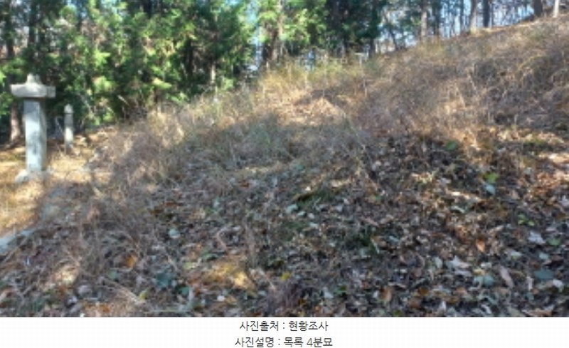 2024타경32145 경상남도 거제시 연초면 연사리 산128 임야 경매 이미지