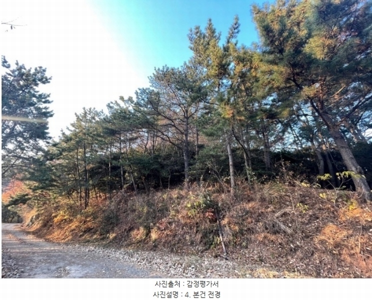 2024타경32305 경상남도 거제시 장목면 외포리 산300-2 임야 경매 이미지