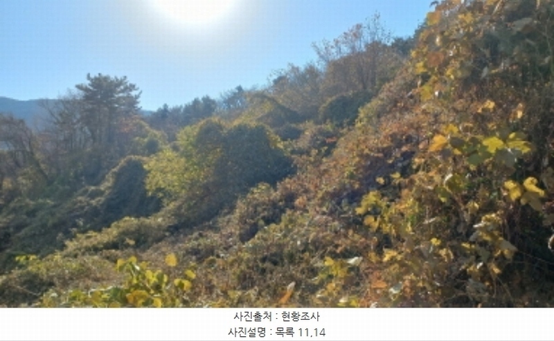 2024타경32404 경상남도 거제시 장평동 산53-4 임야 경매 이미지