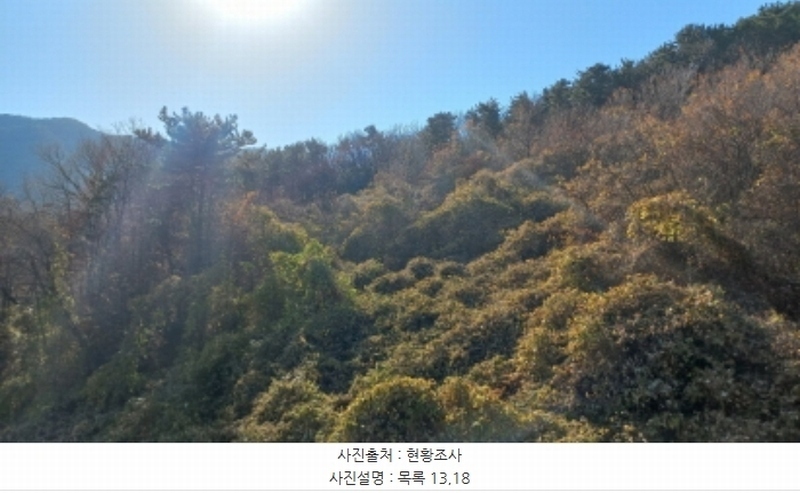 2024타경32404 경상남도 거제시 장평동 산53-4 임야 경매 이미지