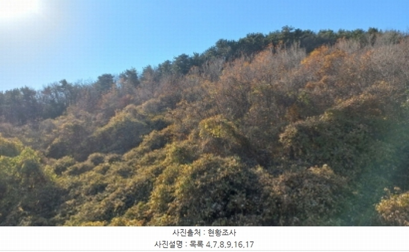 2024타경32404 경상남도 거제시 장평동 산53-4 임야 경매 이미지