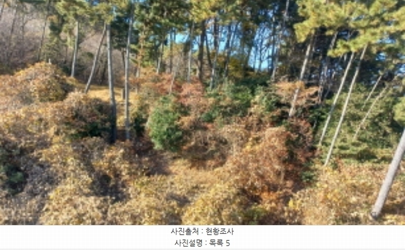 2024타경32404 경상남도 거제시 장평동 산53-4 임야 경매 이미지