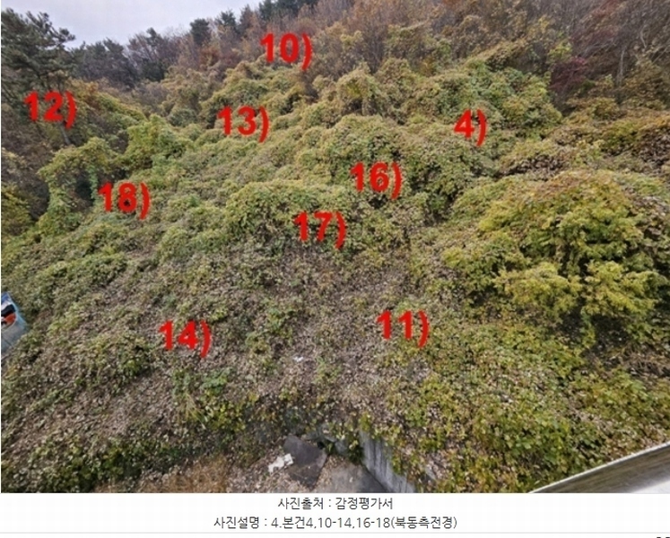 2024타경32404 경상남도 거제시 장평동 산53-4 임야 경매 이미지