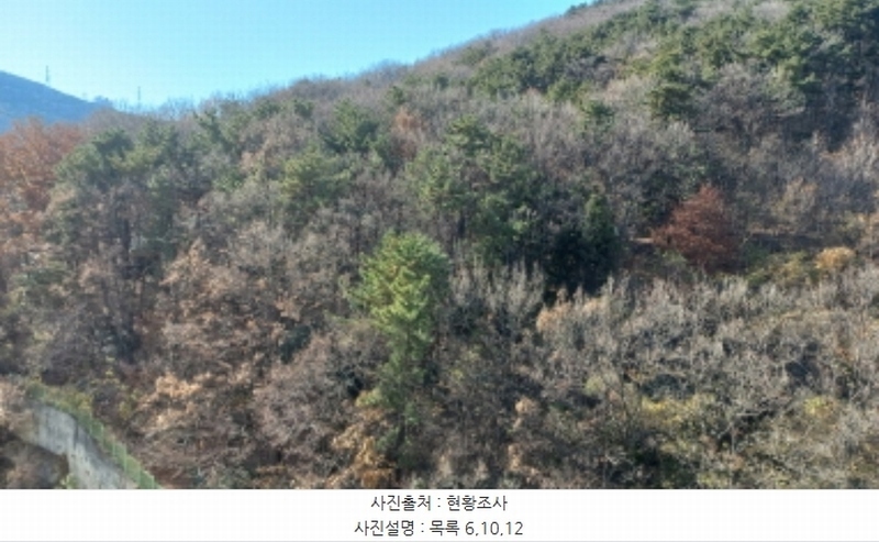 2024타경32404 경상남도 거제시 장평동 산53-4 임야 경매 이미지