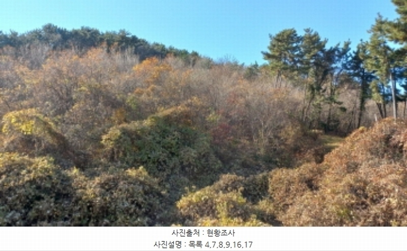 2024타경32404 경상남도 거제시 장평동 산53-4 임야 경매 이미지
