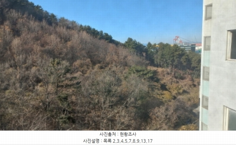 2024타경32404 경상남도 거제시 장평동 산53-4 임야 경매 이미지